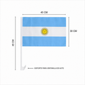 BANDERA ARGENTINA P/AUTO 30X45CM