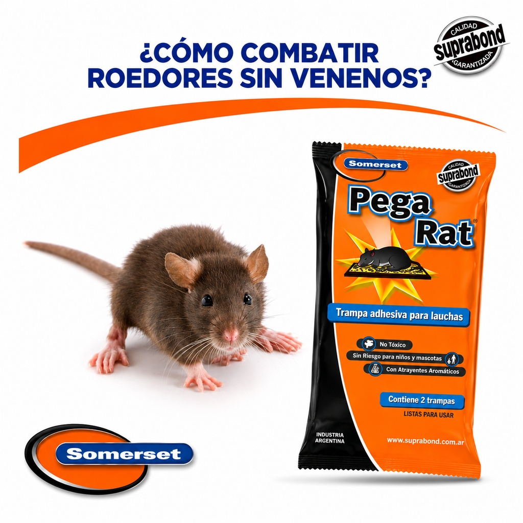TRAMPA ADHESIVA PARA RATA X2